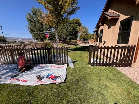 Transformative Fence Refresh Elevates Home Beauty