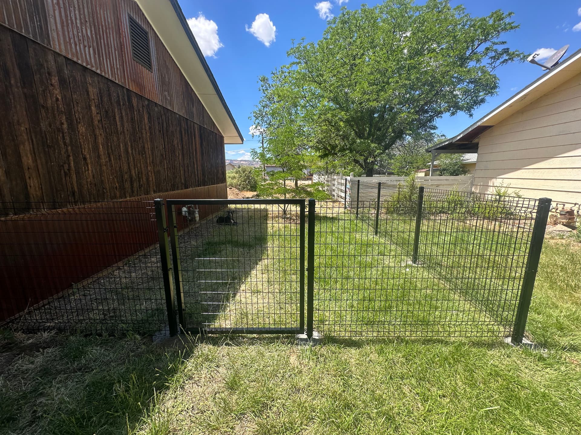 Gallery photos for Modern Black Welded Wire Fence with Gates Installed: Image #4