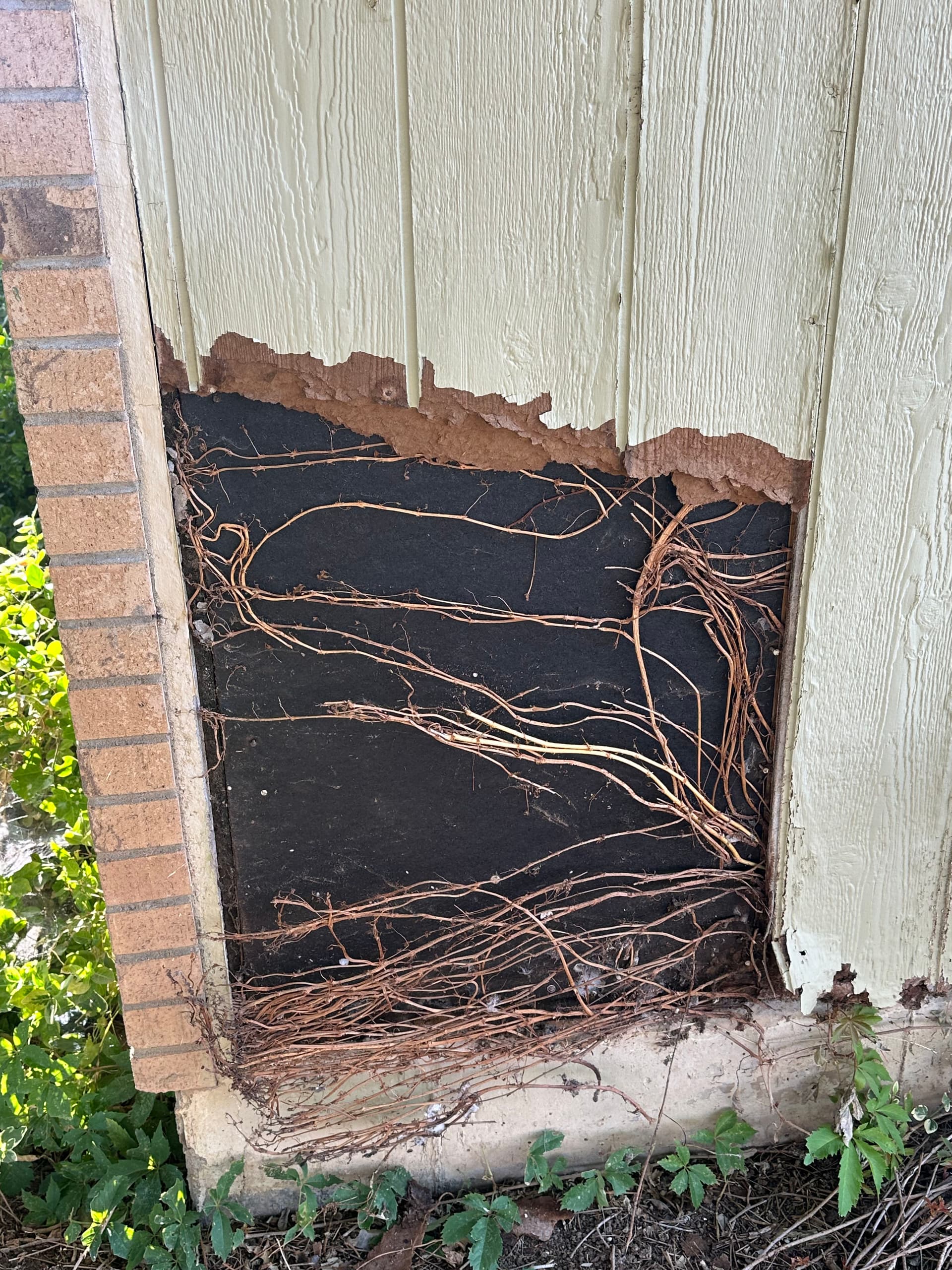 Gallery photos for When a Small Repair Reveals It's Time for a Full Reside: Image #1